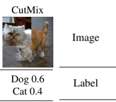 Description of CutMix. Image from the original paper
